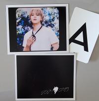 Jimin - Muse : Blooming Instant Photos