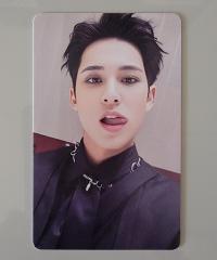 Seventeen Mingyu - The Best EV Album Photocard