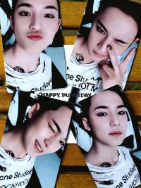 Mingyu : Happy Burstday -  Daredevil Photocards 