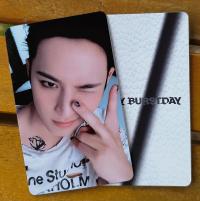 Mingyu : Happy Burstday -  Daredevil Photocards 