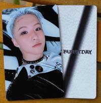 Hoshi : Happy Burstday -  Daredevil Photocards 
