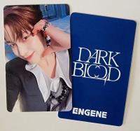ENHYPEN - Dark Blood - Bite Me Broadcast Photocards