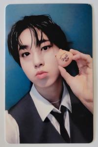 SKZ Skzoo x Tamagotchie Photocards