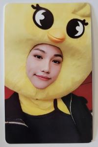 SKZ Maxident JYP Shop POB Photocards