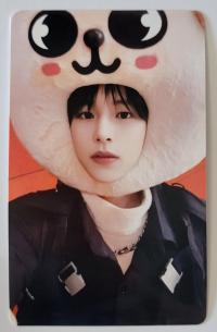 SKZ Maxident JYP Shop POB Photocards
