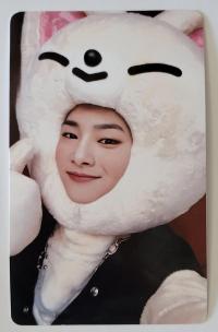 SKZ Maxident JYP Shop POB Photocards