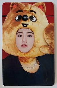SKZ Maxident JYP Shop POB Photocards