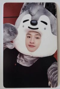 SKZ Maxident JYP Shop POB Photocards