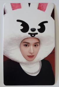 SKZ Maxident JYP Shop POB Photocards