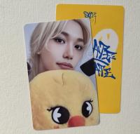 Stray Kids : Dominate Celebrate Pop Up Photocards