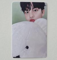 ATEEZ : Seasons Greetings 2026 : Pastry Shop Set B Photocards