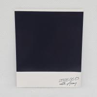 BTS : Arirang - 613 Ltd Edition Vinyl Polaroid Jungkook