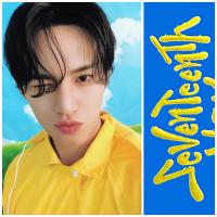 17 - Seventeenth Heaven Carat Version - Mingyu Photocards