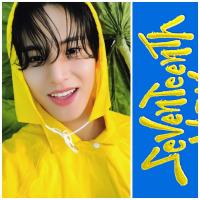 17 - Seventeenth Heaven Carat Version - Mingyu Photocards