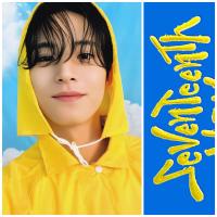 17 - Seventeenth Heaven Carat Version - Mingyu Photocards