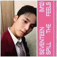 17 - Spill The Feels Carat Edition - Mingyu Photocards