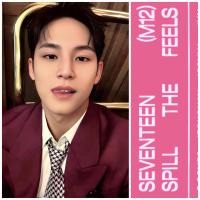 17 - Spill The Feels Carat Edition - Mingyu Photocards