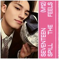 17 - Spill The Feels Carat Edition - Mingyu Photocards