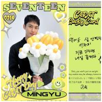 17 Carat Day Lucky Photocards 