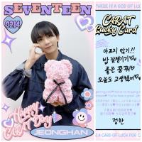 17 Carat Day Lucky Photocards 