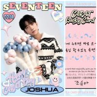 17 Carat Day Lucky Photocards 