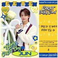 17 Carat Day Lucky Photocards 