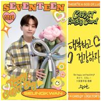 17 Carat Day Lucky Photocards 