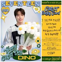 17 Carat Day Lucky Photocards 