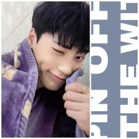ATEEZ From The Witness Poca Blanket Photocards