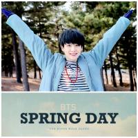 BTS Spring Day Broadcast Photocards