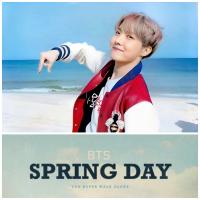 BTS Spring Day Broadcast Photocards
