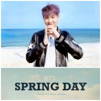 BTS Spring Day Broadcast Photocards