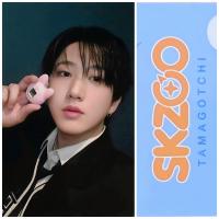 SKZ Skzoo x Tamagotchie Photocards