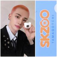 SKZ Skzoo x Tamagotchie Photocards