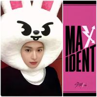 SKZ Maxident JYP Shop POB Photocards
