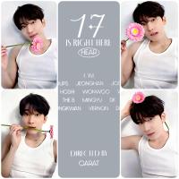 Seventeen : Wonwoo - 17 is Right Here Dear Ver Photocards 