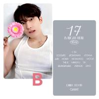 Seventeen : Wonwoo - 17 is Right Here Dear Ver Photocards 