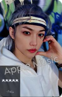 Stray Kids 5 Star Apple Music Special Code Photocards