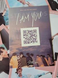 Stray Kids - I am You Polaroid