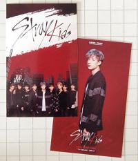Stray Kids pre Debut Survival Show Photocards