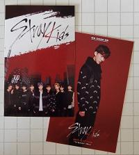Stray Kids pre Debut Survival Show Photocards