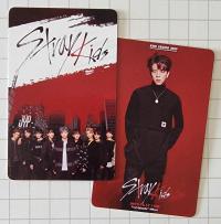 Stray Kids pre Debut Survival Show Photocards