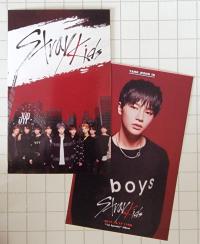 Stray Kids pre Debut Survival Show Photocards