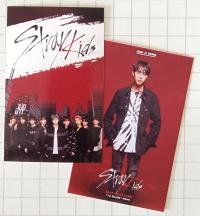 Stray Kids pre Debut Survival Show Photocards