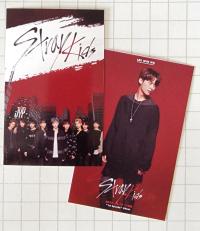 Stray Kids pre Debut Survival Show Photocards