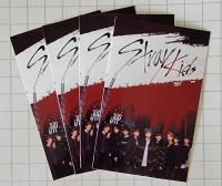 Stray Kids pre Debut Survival Show Photocards