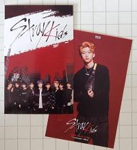 Stray Kids pre Debut Survival Show Photocards