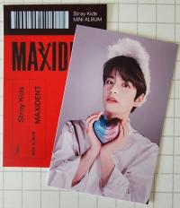 Stray Kids Maxident Case POB Photocards