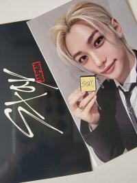 Stray Kids Voice Keychain Japan Photocards