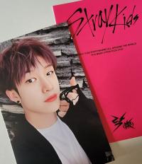 Stray Kids Rockstar [樂-STAR] Soundwave Gashapon 3.0